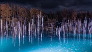 시로가네 아오이케에 대해｜역사와 개요를 자세히 설명