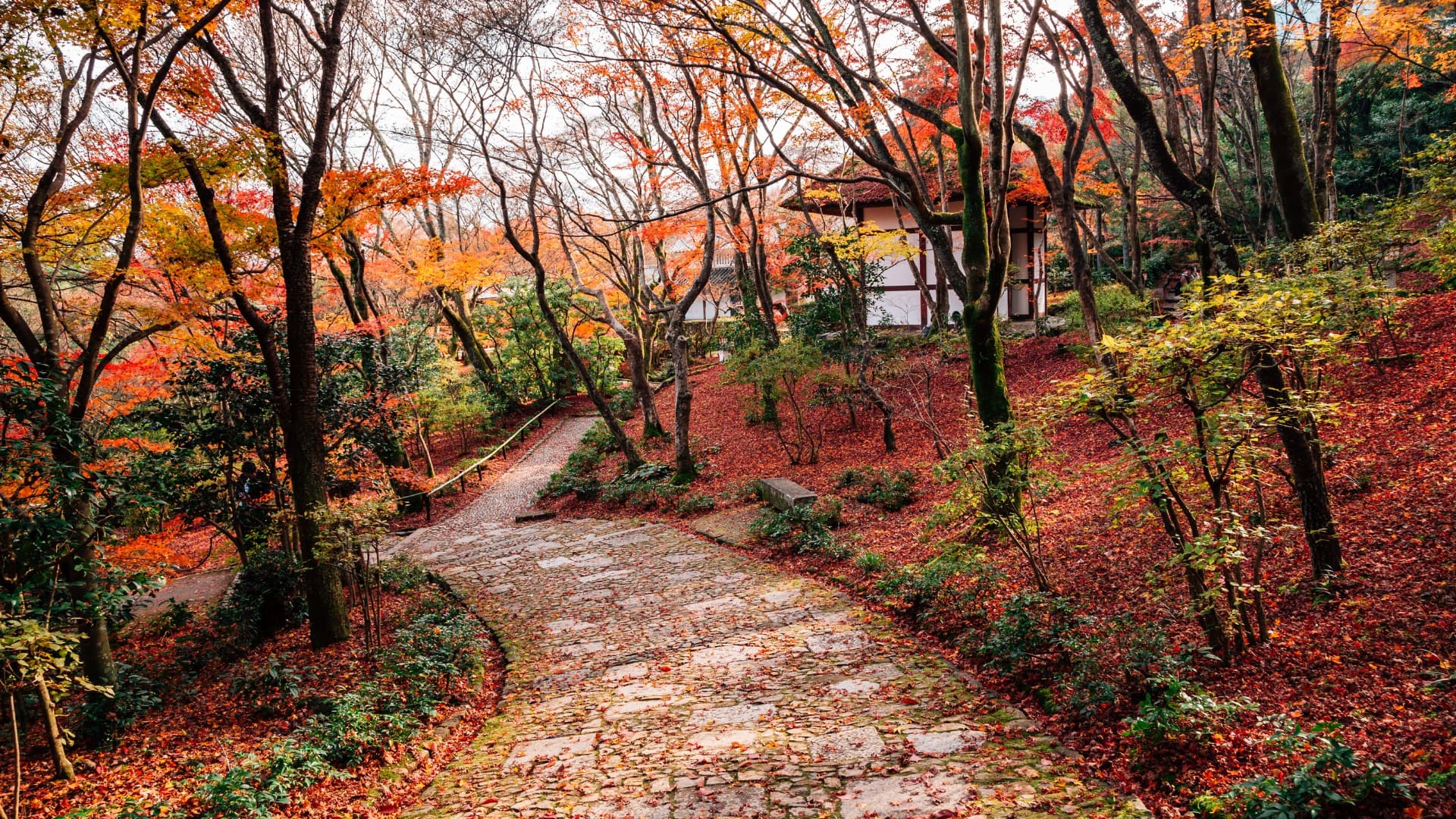 5-Mar-08-2025-05-01-27-8103-AM