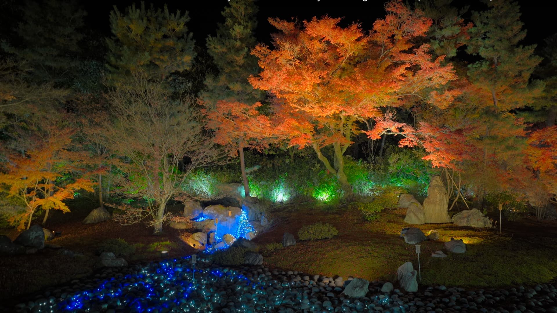 4-Feb-15-2025-05-28-18-5464-PM