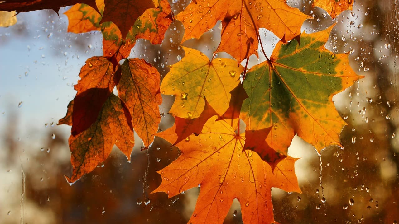 弁天堂 (20)-Jan-13-2026-10-20-36-0735-PM