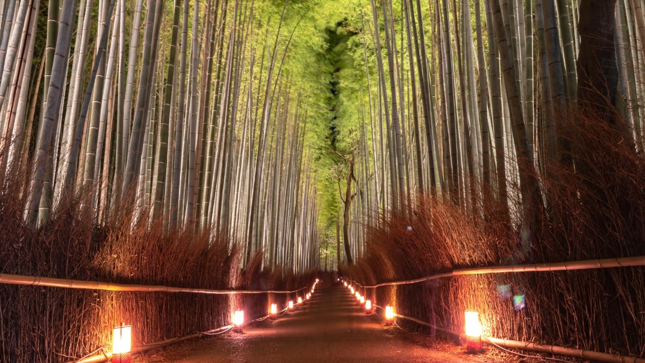 弁天堂 (35)-Jan-19-2025-12-31-00-1549-AM