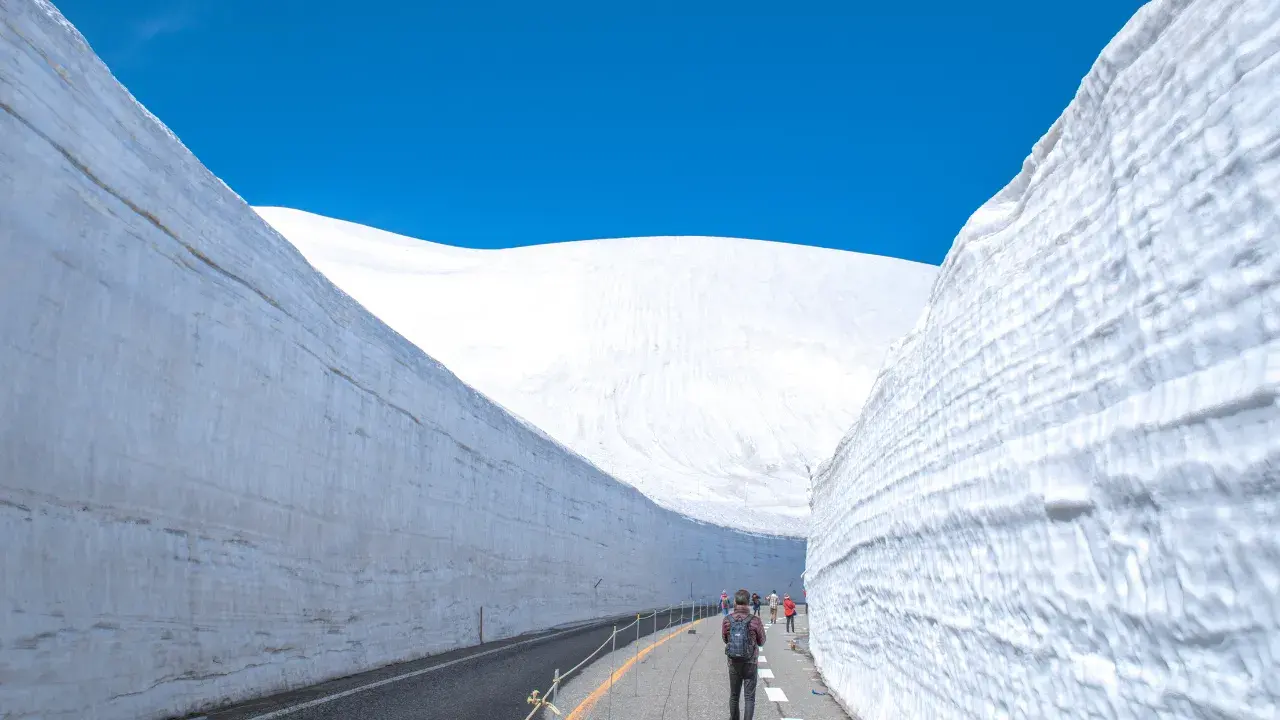 5-May-24-2025-06-38-03-7826-AM