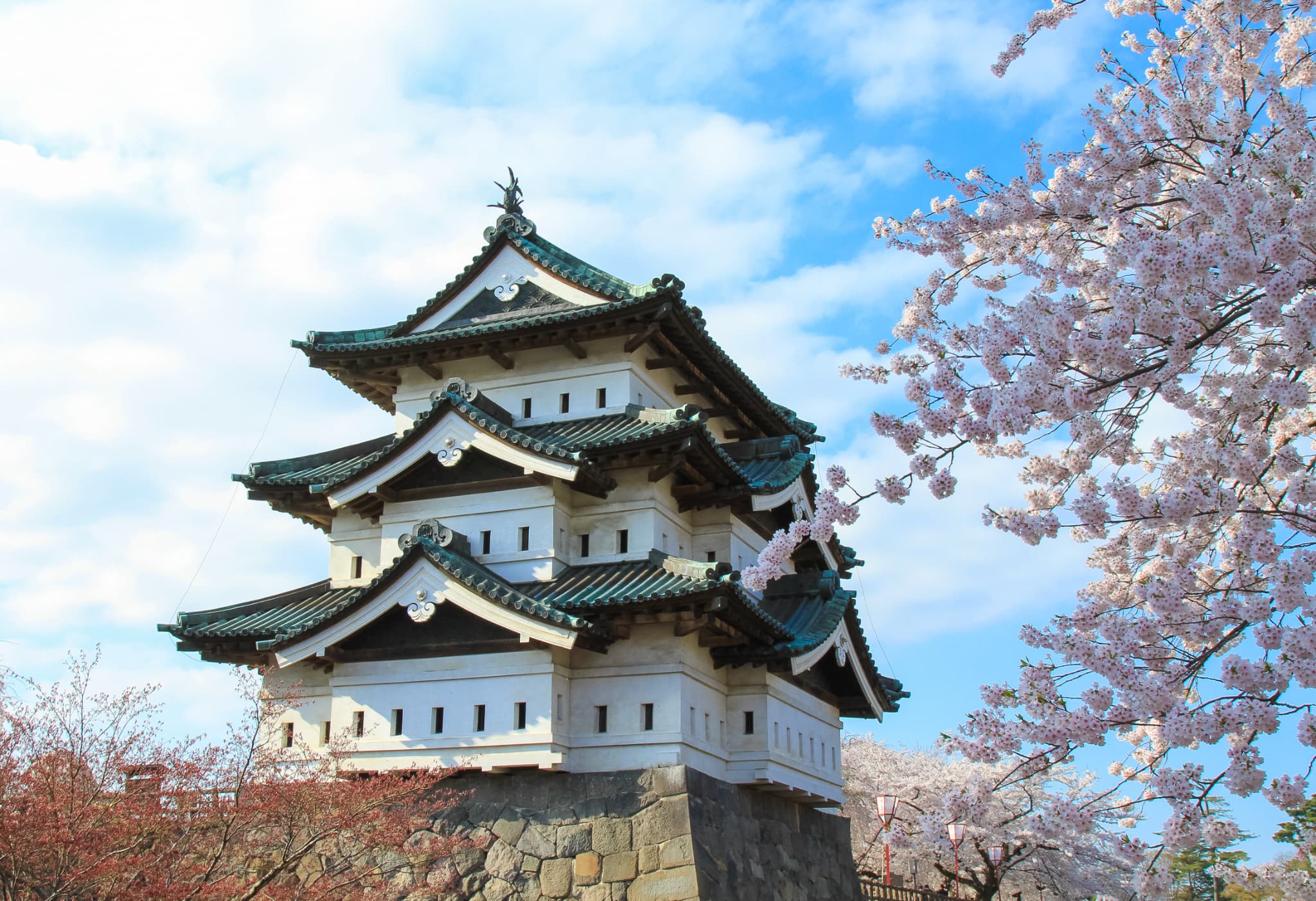 AdobeStock_397614659 (1)