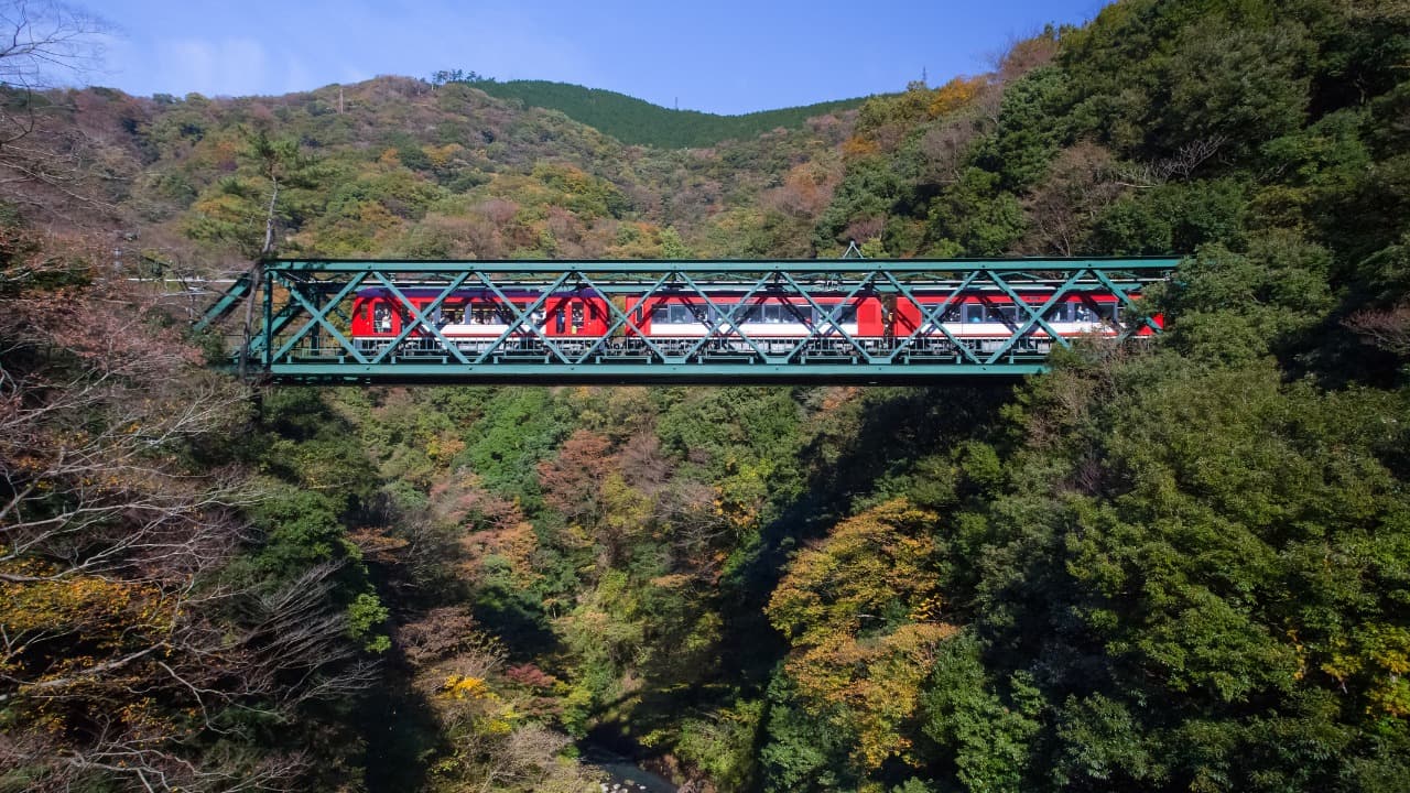 弁天堂 (45)-Nov-30-2024-03-03-32-4213-AM