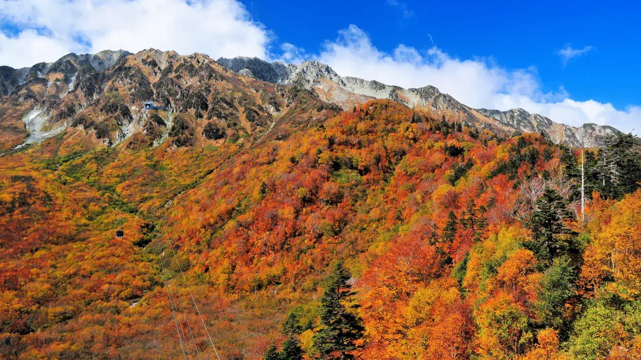 9-May-24-2025-06-25-44-9866-AM