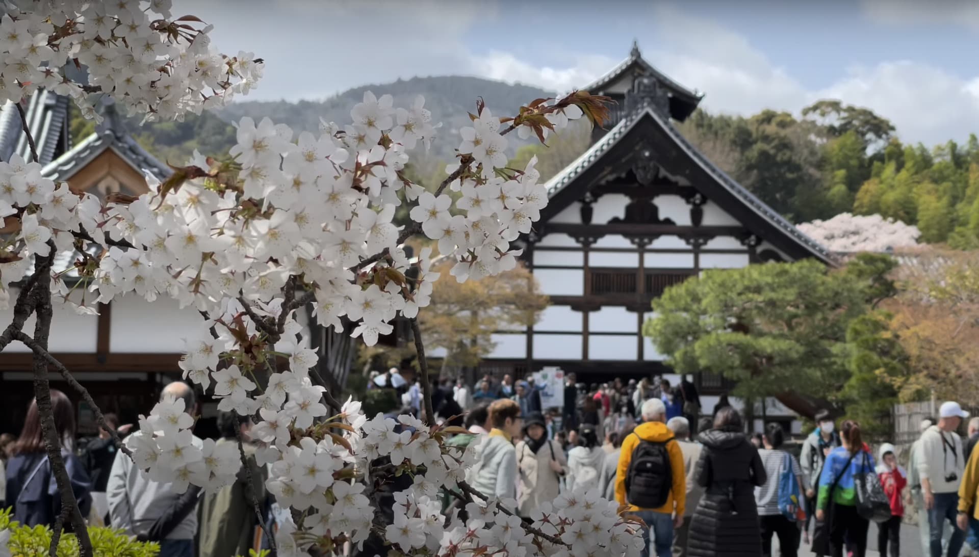 スクリーンショット 2026-01-18 22.04.13