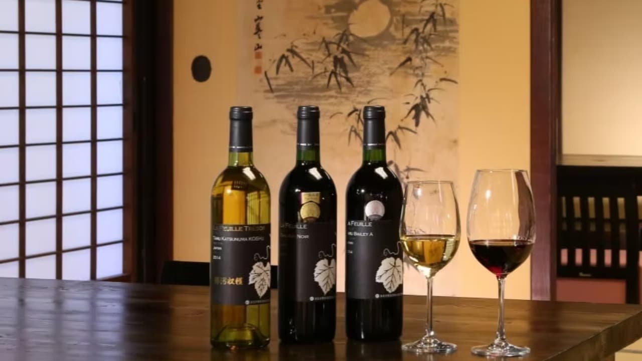 5-Feb-01-2026-01-27-14-6729-PM