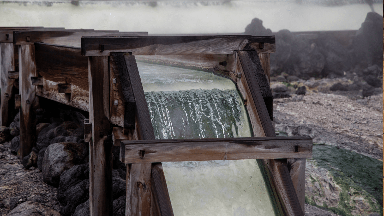 箱根強羅公園 (3)