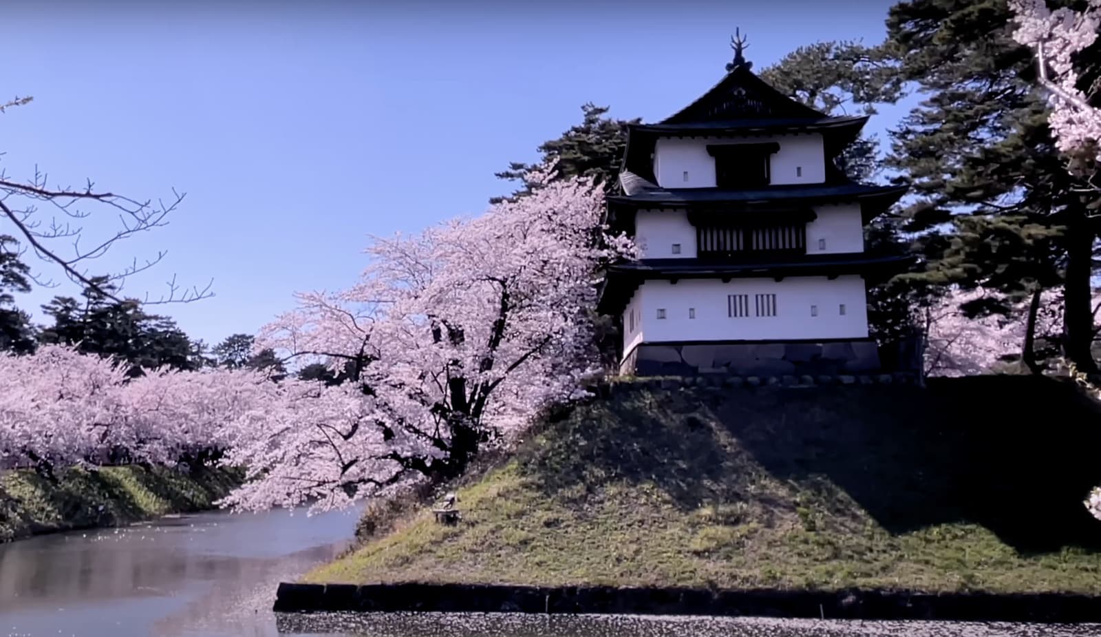 スクリーンショット 2024-08-17 11.05.35