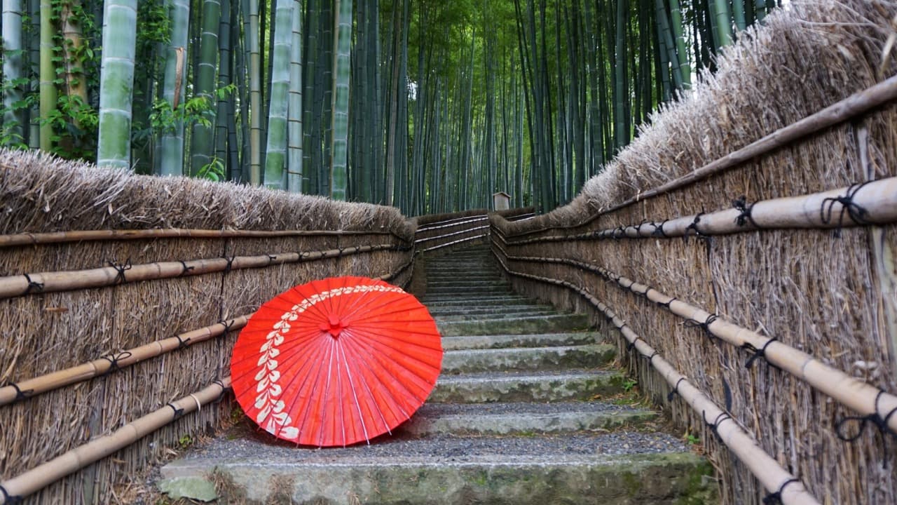 5-Feb-02-2026-05-29-35-3162-AM