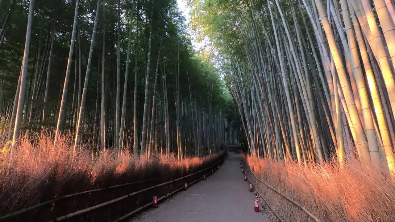 8-Apr-08-2026-08-13-51-9341-AM