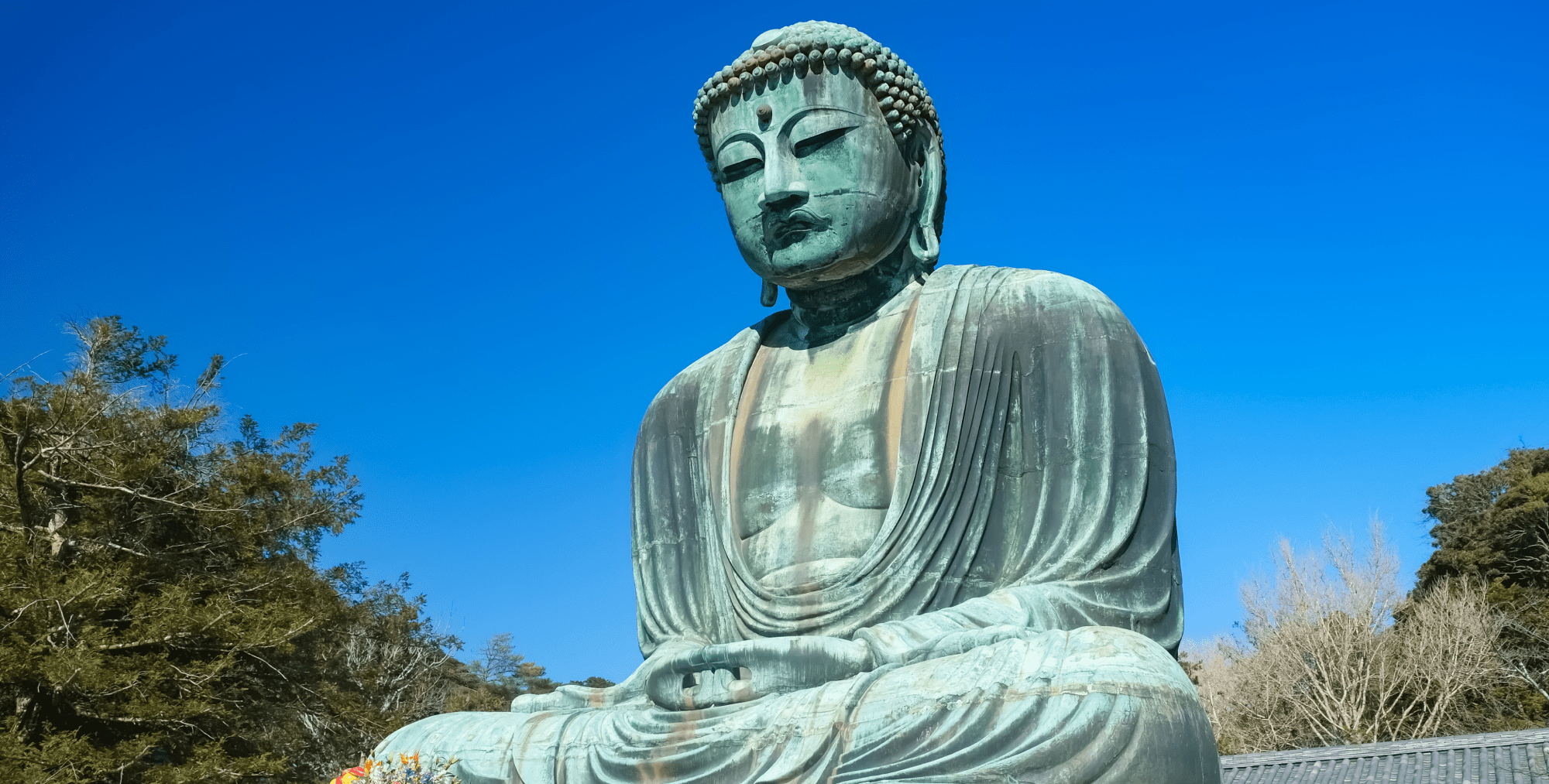 AdobeStock_221605727