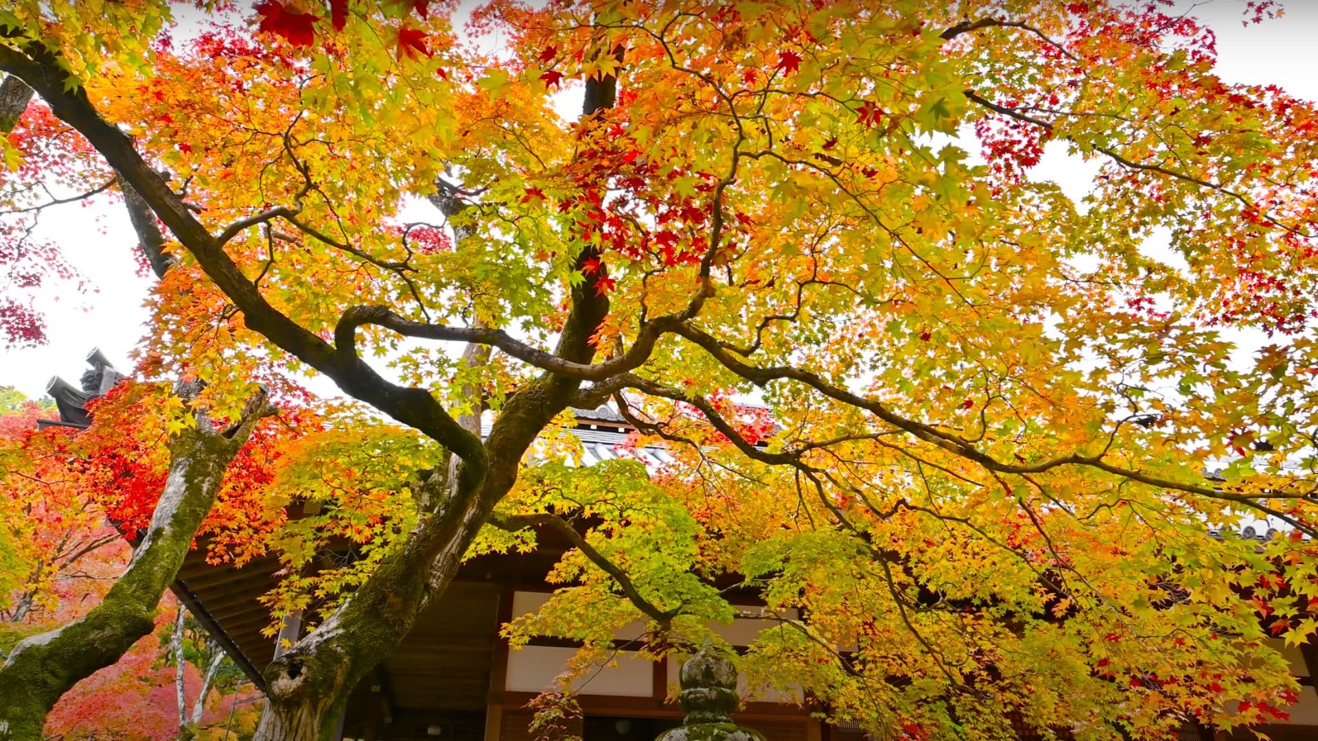 13-Mar-08-2025-05-01-27-6992-AM