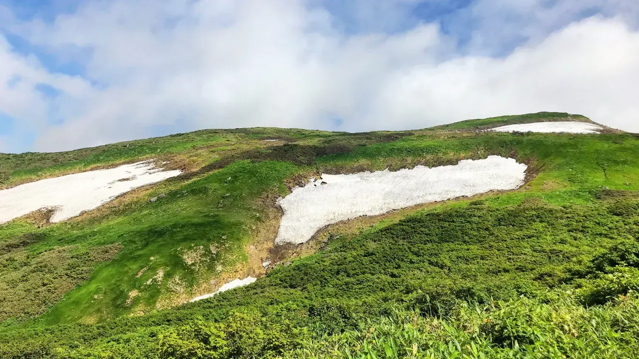 1-Jun-22-2025-05-54-41-1828-AM