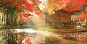 岩手県极致之旅精选旅游景点