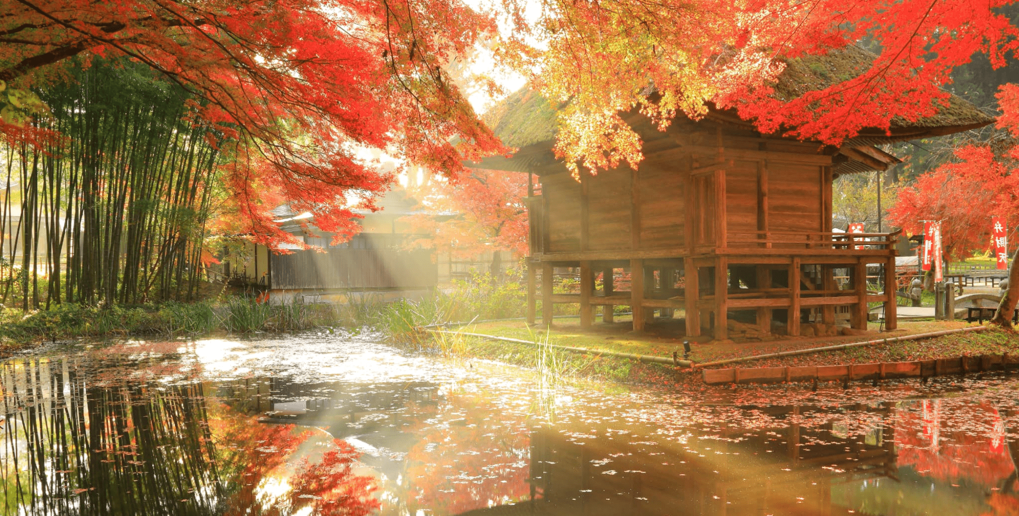 AdobeStock_474782386 1